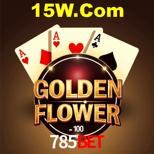 Interface Premium 785bet